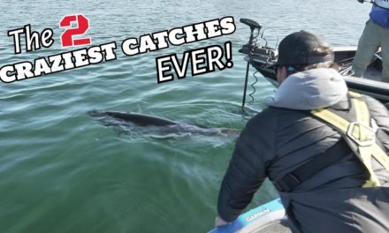 Scott Martin Pro Tips – Two Craziest Fish Catches caught on FILM