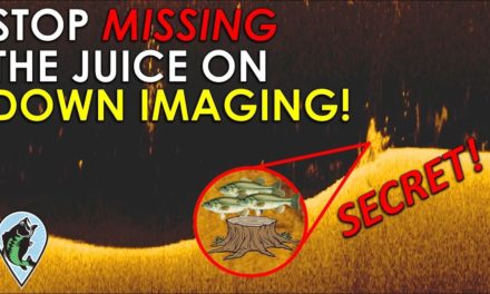 What Cover Looks Like on Down Imaging | Bass Fishing Sonar Instruction and down imaging Explained