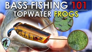 Beginner's Guide to Frog Fishing For Bass | Bass Fishing 101 Instruction (When, Where, Why, How)