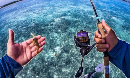 Lawson Lindsey – Catching Insanely Difficult Fish in Crystal Saltwater Flats in the Keys