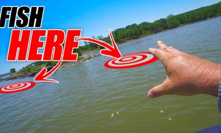 Scott Martin Pro Tips – Fish Like These Areas The BEST! (Catch More Fish)