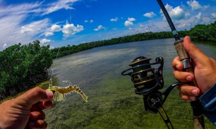 Lawson Lindsey – Fishing Whitebaits & Artificials in the Florida Keys Back Water