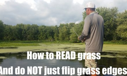 How to READ grass when bass fishing (where to flip!)