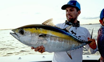 BlacktipH – INSANE Dusk Tuna Bite in Florida