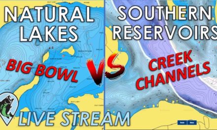 Northern Vs. Southern Lakes Differences Explained | FTM Live Stream #53