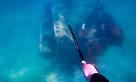 Lawson Lindsey – Spearfishing Wrecks and Reefs in The Florida Keys { Catch & Cook }