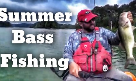 FlukeMaster – Summer Bass Fishing – Where Bass Go in the Summer