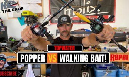 Mike Iaconelli Secret Tips & Tactics – Topwater Bass Fishing: Popper Vs. Walking Bait!