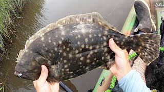 Salt Strong | – Best Place To Find Inshore Flounder (In Spring, Summer, & Fall)