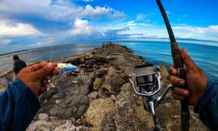 Lawson Lindsey – Catching BIG Saltwater Fish From a Rock Jetty on Artificial Lures