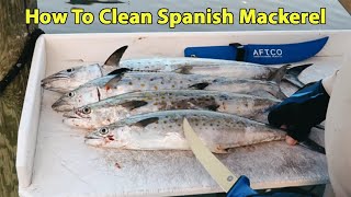 Salt Strong | – Fillet Spanish Mackerel Step By Step (And How To Get Rid Of The "Fishy" Taste!)