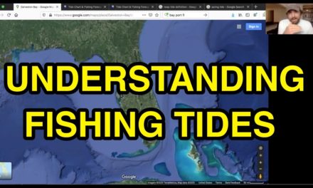 Salt Strong | – Fishing Tides: What You Really Need To Know About Tides