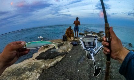 Lawson Lindsey – Hooking GIANT Fish Off the Rocks + Insane Feeding Frenzy