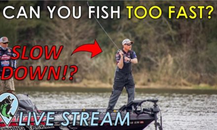 How Fast Should You Fish for Bass? | FTM Live Stream #55