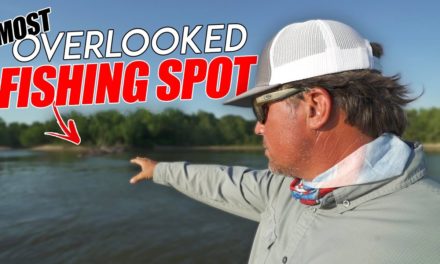 Scott Martin Pro Tips – One of the Best Places to Catch FISH on a River