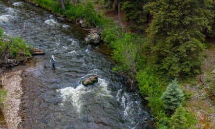 Small Stream Colorado – Colorado Fly Fishing by Todd Moen