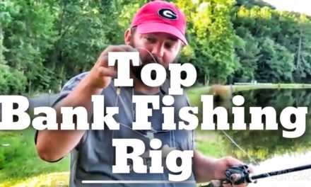 FlukeMaster – The Most Important Bass Fishing Rig in Bank Fishing