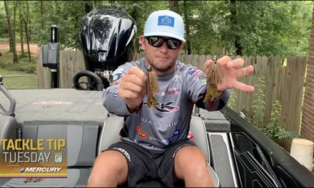 Bassmaster – Why Wes Logan uses the same jig, but different trailers successfully