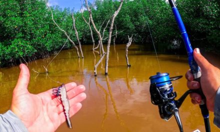 Lawson Lindsey – BIG Fish Destroy this Lure While Fishing in Secret Saltwater Lagoon
