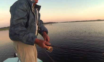Captain Tom Van Horn Bass Fishing Lake Harney with a 9lb. Sunshine Bass
