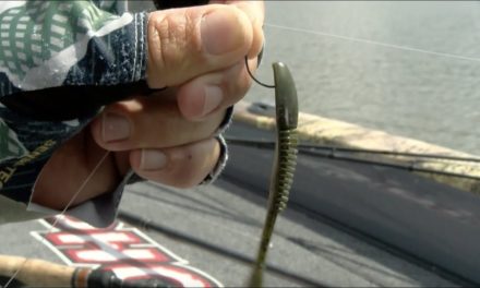 Bassmaster – Clifford Pirch uses a dropshot around all types of structure