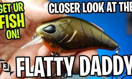 Closer Look at the Shallow Water Crank Bait by 13 Fishing Flatty Daddy