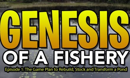Genesis of a Fishery Episode 1 – Stocking and Rebuilding a Neighborhood Bass Pond to NEW GLORY