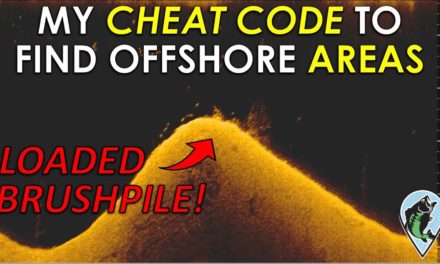 Get 100 Free Waypoints in 5 Minutes! | Shallow Vs. Offshore Challenge