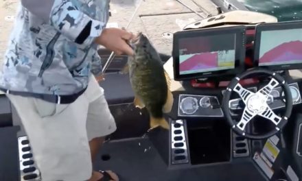 Bassmaster – Great start at the top of the leaderboard