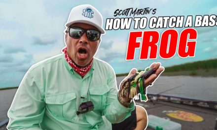 Scott Martin Pro Tips – How To Catch BIG Bass on a Topwater Frog – LIVE CATCH!