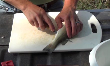 How to Fillet Fish: Largemouth Bass