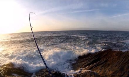 Shore Fishing – SPINNING for Sea BASS from the ROCKS – Dexter Wedge