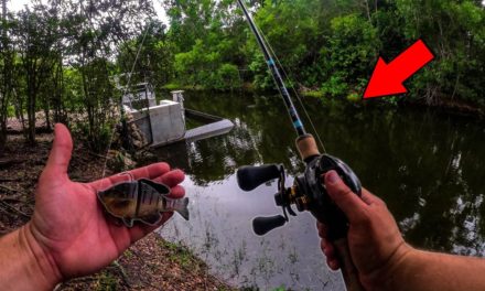 Lawson Lindsey – This Fish SHOULD NOT Be In Here! (Not Good)