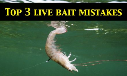 Salt Strong | – Top 3 LIVE BAIT RIGGING MISTAKES (Underwater Evidence)