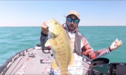 Bassmaster – Yamaha Clip of the Day: Groh scores 6 pound smallmouth