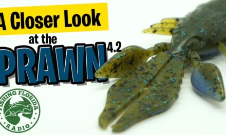 A Closer Look At The 6th Sense PRAWN 4.2 – Largemouth Bass Fishing Creature Soft Plastic Bait