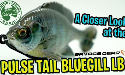 A Closer Look at the NEW WEEDLESS Savage Gear Pulse Tail Bluegill LB – Bass Fishing Swim Bait