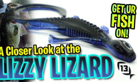 Bass Fishing with Lizards – Closer Look at the 13 Fishing Lizzy Lizard