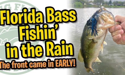 Florida Bass Fishin' in the Rain Before a Front – Largemouth Bass Fishing – Fishing Florida Radio