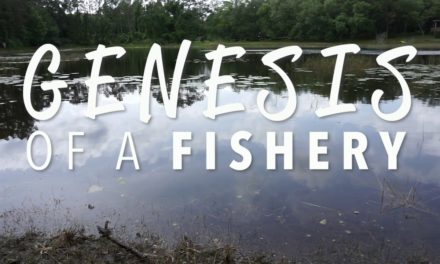 Genesis of a Fishery Intro Trailer – 15 seconds