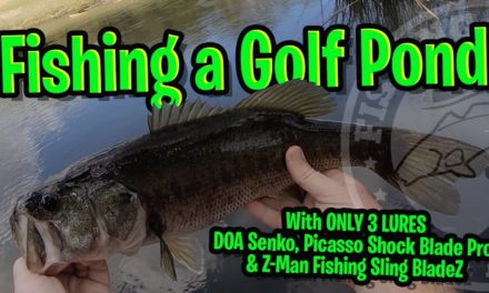 Golf Pond Fishing for Largemouth Bass in Central Florida – Bladed Jig, Senko and Spinnerbait