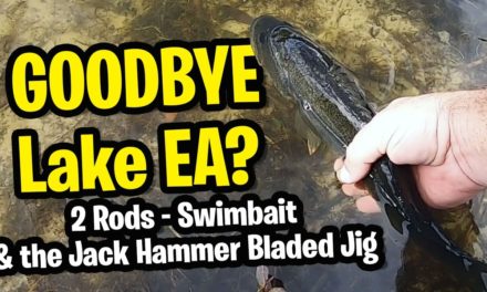 Goodbye Lake EA? Crushing Largemouth Bass on Swim Bait in Central Florida – Largemouth Bass Fishing
