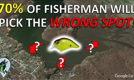 How Pro Fisherman Locates Summer Bass in Shallow Water