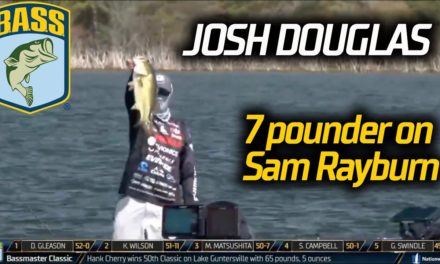 Bassmaster – Josh Douglas lands a 7 pounder with a swimbait on Sam Rayburn
