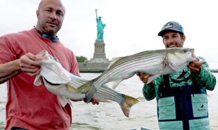 BlacktipH – Statue of Liberty Striped Bass Fishing