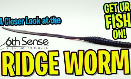 6th Sense Fishing Ridge Worm – CRAZIEST 10" SOFT PLASTIC WORM
