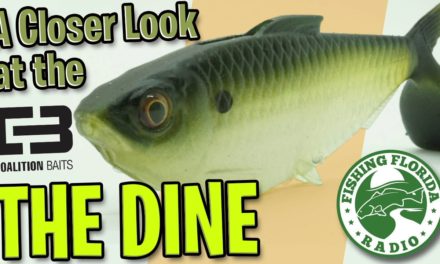 A Closer Look at the 13 Fishing Coalition Bait Company The Dine Swimbait – Bass Fishing Lure