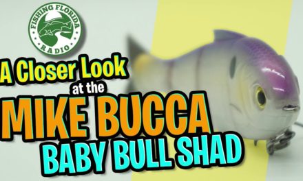A Closer Look at the Mike Bucca Baby Bull Shad – Jointed Bass FIshing Swimbait Catch Co