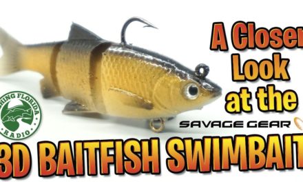 A Closer Look at the Savage Gear 3D Baitfish Swim Bait – Largemouth Bass FIshing Lure