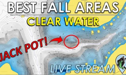 Best Shallow and Offshore Fall Fishing Areas on Clear Water Lakes | FTM Live Stream #61